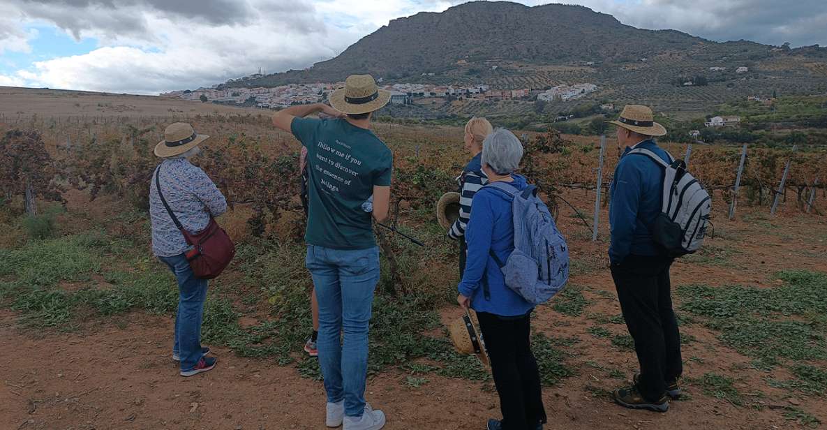 Malaga: Wine Tour White Town, Vineyard and Wine Tasting