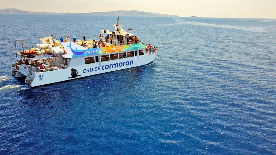 Mallorca: 2-Hour Dolphin Watching Cruise & Glass-Bottom Boat