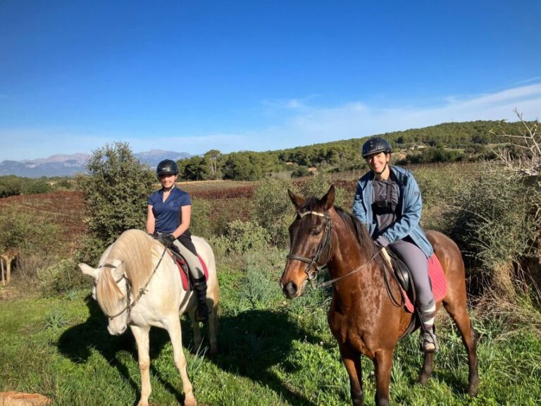 Mallorca: Activity With Horses, Antique Mallorca