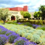 1 manosque loccitane en provence guided factory tour Manosque: Loccitane En Provence Guided Factory Tour