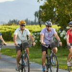 1 marlborough full day self guided biking wine tour Marlborough Full-Day Self-Guided Biking Wine Tour