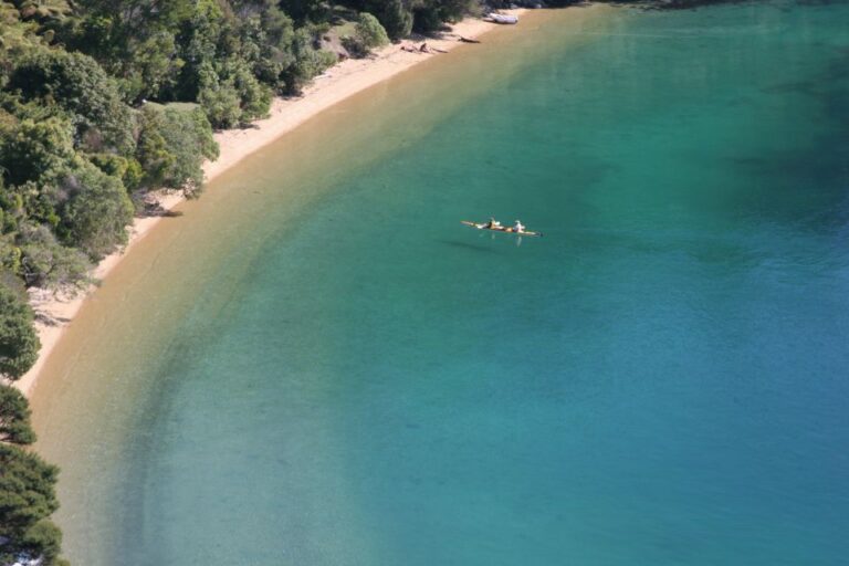 Marlborough Sounds: Full-Day Guided Kayak Tour With Lunch