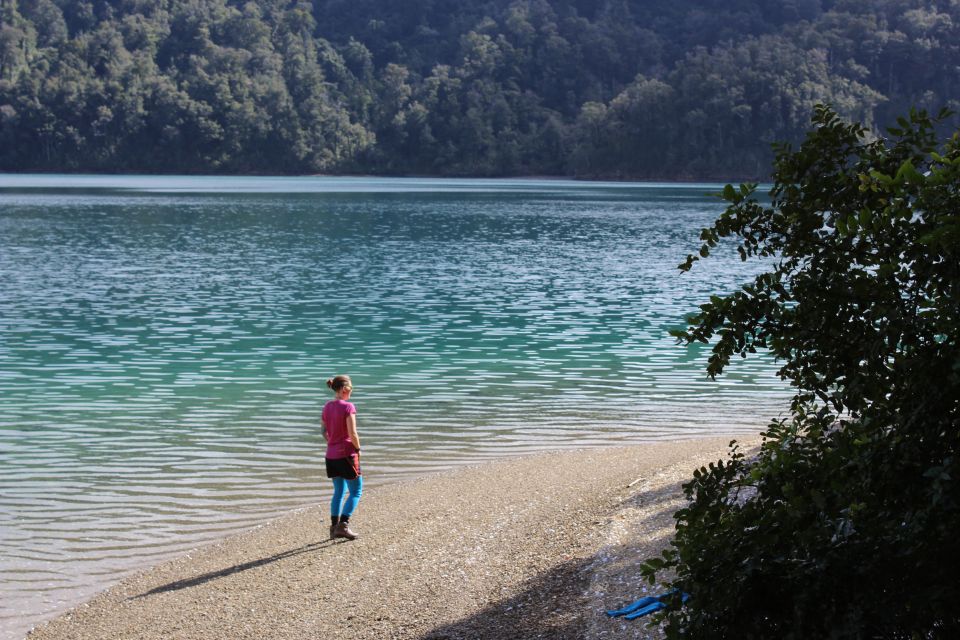 1 marlborough sounds guided kayak and freedom walk tour Marlborough Sounds Guided Kayak and Freedom Walk Tour