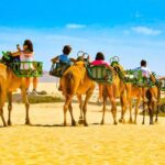 1 maspalomas e bike tour with camel ride Maspalomas: E-Bike Tour With Camel Ride
