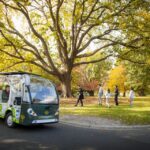 1 melbourne melbourne gardens explorer minibus tour Melbourne: Melbourne Gardens Explorer Minibus Tour