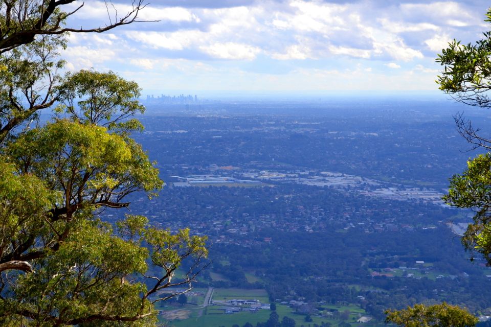 Melbourne: Mount Dandenong Bush Private Tour With Dinner - Activity Highlights