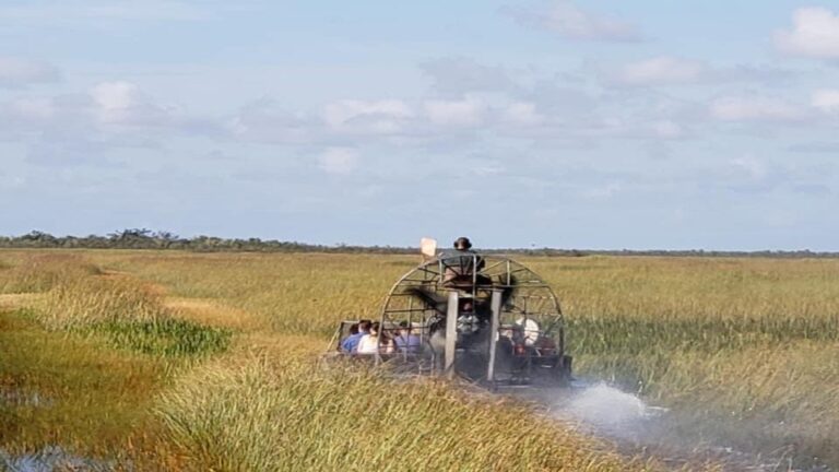 Miami: Original Everglades Airboat Tour & Alligator Exhibit