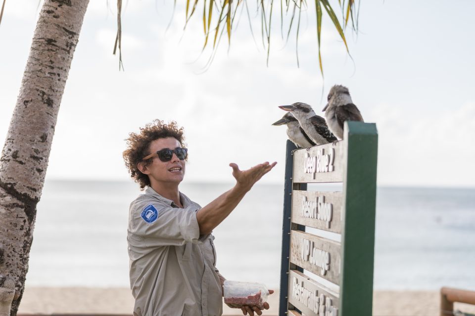 1 moreton island desert safari tour dolphin viewing Moreton Island: Desert Safari Tour & Dolphin Viewing