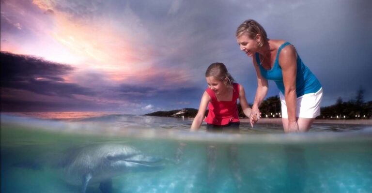 Moreton Island: Tangalooma ATV Quad Bike & Dolphin Feeding