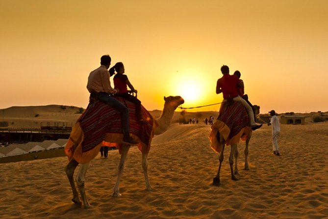 Morning Camel Trekking Experience