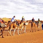 1 morning desert safari dune bashing camel ride sand boarding refreshments Morning Desert Safari- Dune Bashing- Camel Ride-Sand Boarding & Refreshments