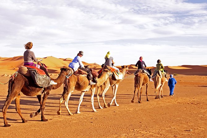 Morning Desert Safari- Dune Bashing- Camel Ride-Sand Boarding & Refreshments