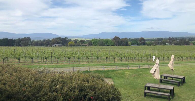 Mornington Peninsula Winery Bus Tour With Lunch & Wine