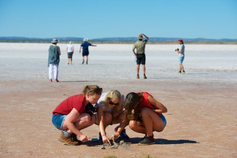 Mount Conner 4WD Small Group Tour From Ayers Rock