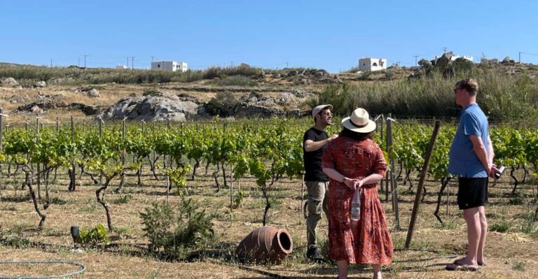 Naxos: Private Vineyard Tour & Wine Tasting With an Expert