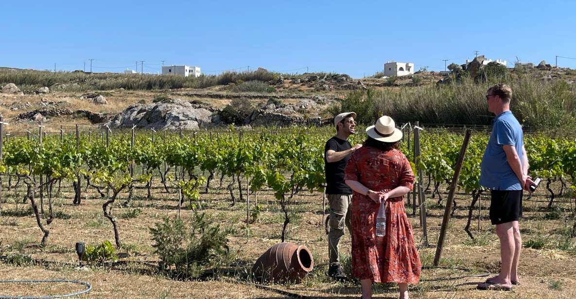 1 naxos private vineyard tour wine tasting with an Naxos: Private Vineyard Tour & Wine Tasting With an Expert