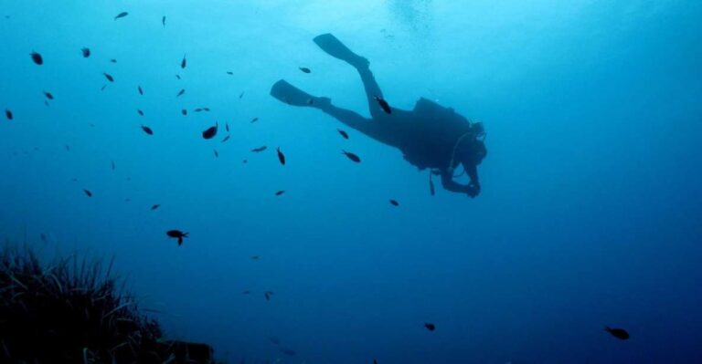 Nea Makri: Open-Water Diving Advanced PADI Course