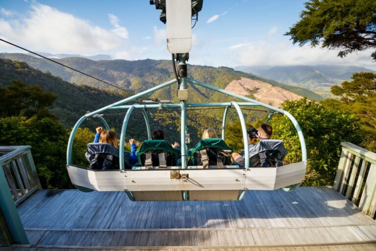 Nelson: Cable Bay Adventure Park Skywire Experience