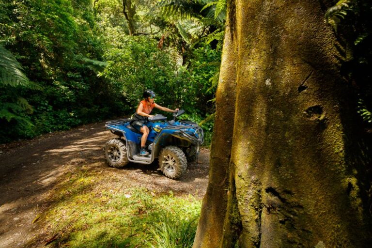 Nelson: Guided Quad Biking Tour Through Forest and Farmland