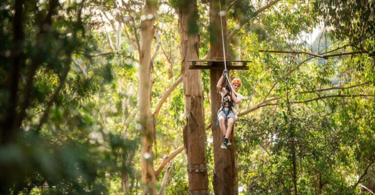 Newscastle: Australian Tree Ropes Course Adventure