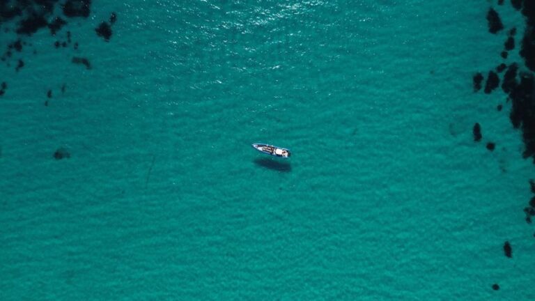 Nice: Lerins Islands Boat Tour With Snorkeling