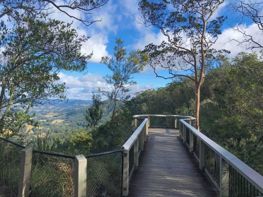 1 noosa maleny montville tour with lunch wine tasting Noosa: Maleny & Montville Tour With Lunch & Wine Tasting