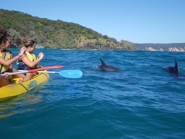 Noosa: Private Double Island Point Beach Adventure