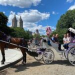 1 nyc central park horse carriage rides NYC Central Park Horse Carriage Rides