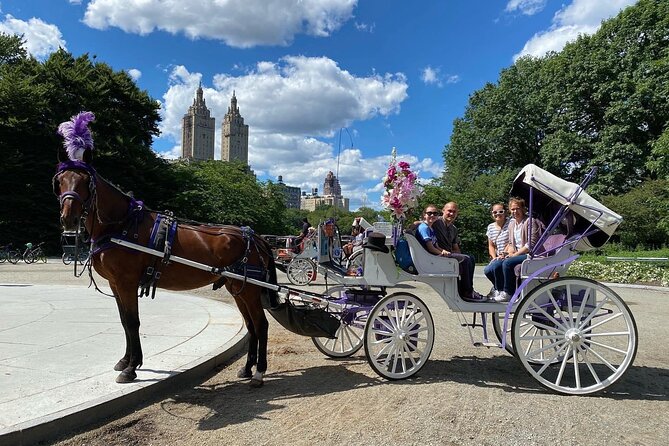 1 nyc central park horse carriage rides NYC Central Park Horse Carriage Rides