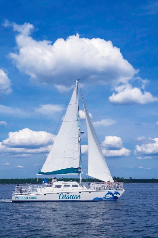 Orange Beach: Sun and Sailing Cruise Aboard Catamaran