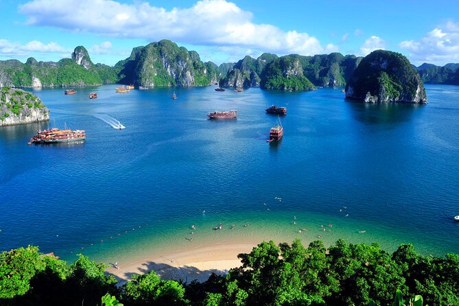 1 orchid cruise halong bay 2days 1night on 5 star cruise Orchid Cruise Halong Bay 2Days 1Night on 5 Star Cruise