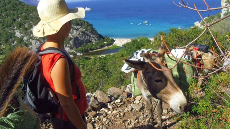 Orosei Gulf: 3 Days Trekking With Donkeys