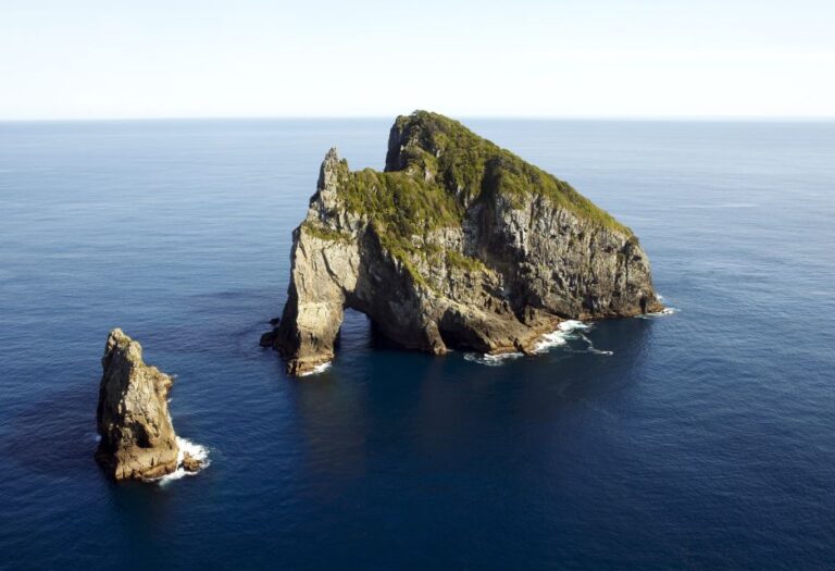 Paihia/Russell: Hole in the Rock Cruise With 2 Island Stops