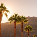 1 palm springs city and desert app guided driving tour Palm Springs: City and Desert App-Guided Driving Tour