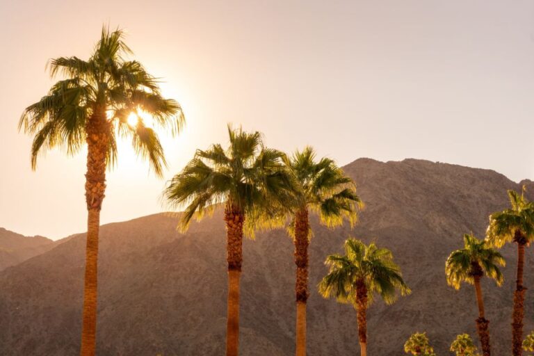 Palm Springs: City and Desert App-Guided Driving Tour