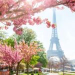 1 paris live laugh love along the seine city game Paris: Live, Laugh, Love Along the Seine City Game