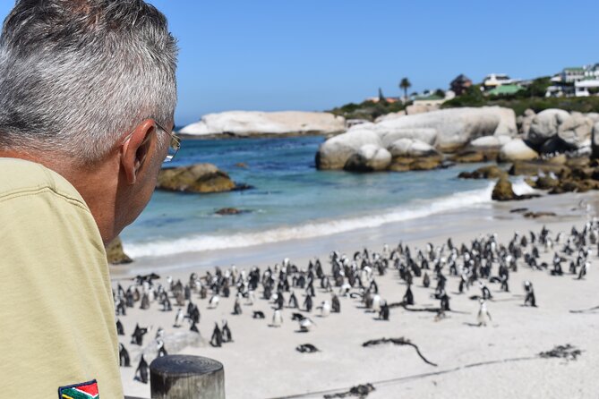 Penguin Colony at Boulders Beach With a Conservationist W/ Admission Add-On