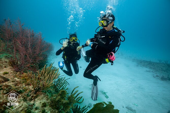 Playa Del Carmen Private Basic Diver Baptism Experience