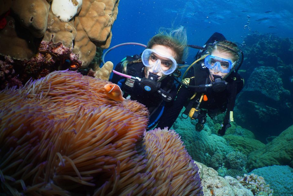 1 port douglas full day outer barrier reef dive and snorkel Port Douglas: Full-Day Outer Barrier Reef Dive and Snorkel