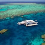 1 port douglas quicksilver outer barrier reef full day cruise Port Douglas: Quicksilver Outer Barrier Reef Full-Day Cruise