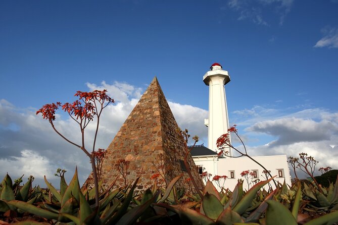 Port Elizabeth Safari and City Tour From Gqeberha