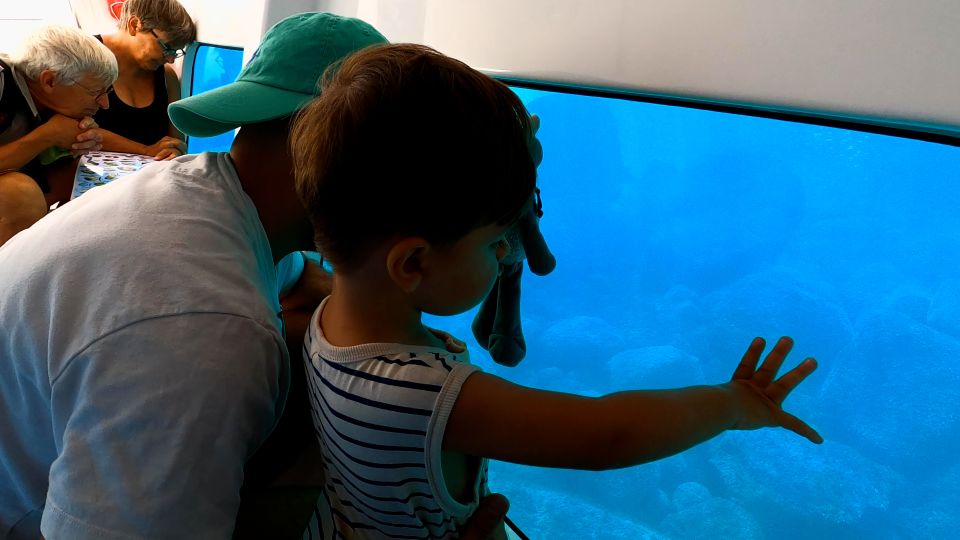 1 porto discovery of the marine fauna and flora bay of porto Porto : Discovery of the Marine Fauna and Flora/Bay of Porto