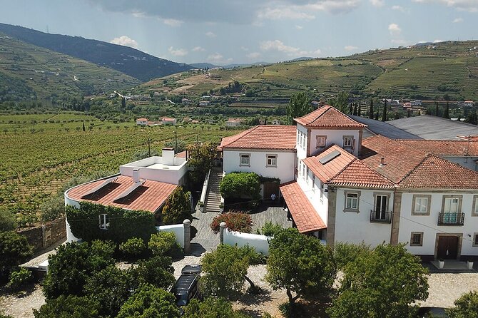 1 premium private douro tour 2 wineries with tastings cruise Premium Private Douro Tour: 2 Wineries With Tastings & Cruise