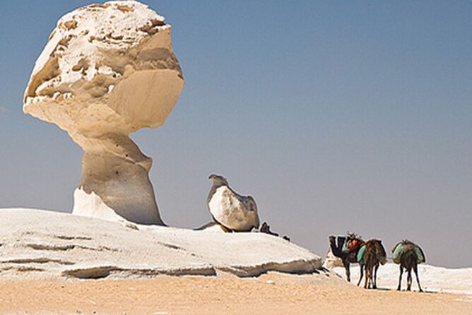 Private 2 Days Jeep Safari to White Desert and Bahariya Oasis