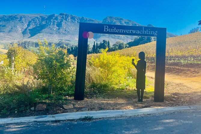 Private Constantia Wine Tour With Goodie Bag From Cape Town