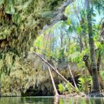 1 private cozumel jeep tour jade caverns cenote all inclusive Private Cozumel Jeep Tour & Jade Caverns Cenote: All-Inclusive