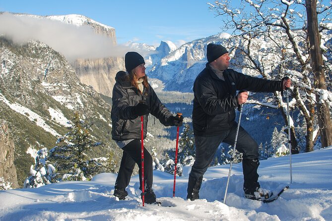 1 private guided snowshoe hike in yosemite Private Guided Snowshoe Hike in Yosemite