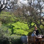 1 private guided wine country tour from santa barbara Private Guided Wine Country Tour From Santa Barbara