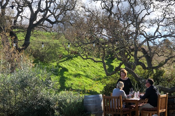 Private Guided Wine Country Tour From Santa Barbara