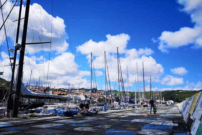 Private Half-Day Walking Tour of Horta Experience